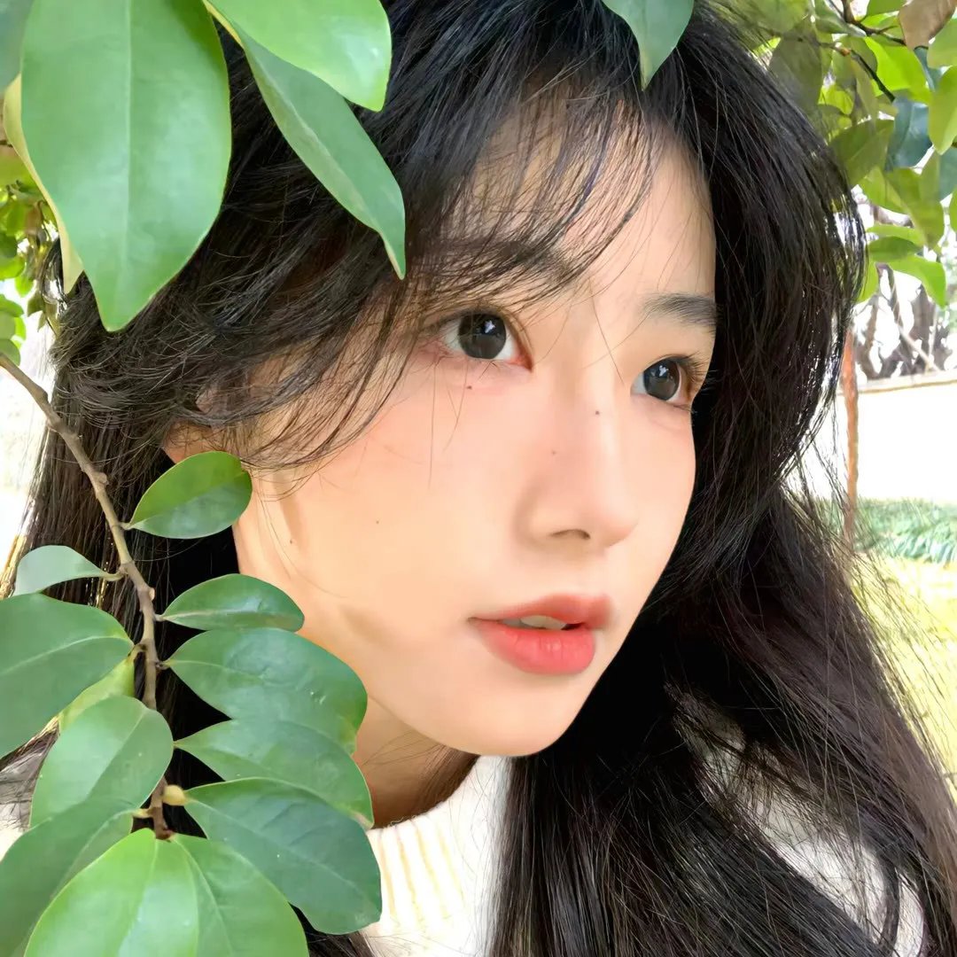 公子倾城