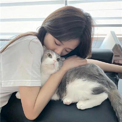 社会中坚